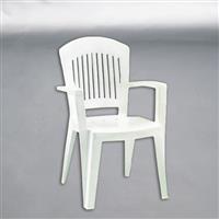 環球牌沙灘椅(進口)