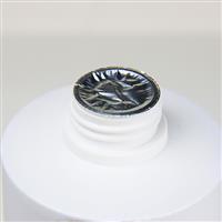 科瑞德游泳池澄清劑(不需要吸污)