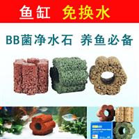 BB菌花瓣長效凈水石