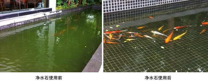 凈水死促進硝化系統(tǒng)